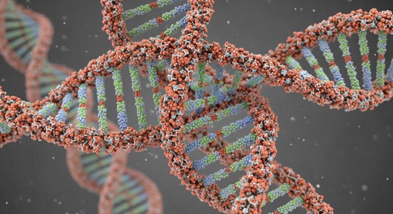 Peptides: The Building Blocks of Modern Wellness